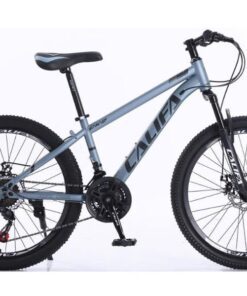 Xe đạp Califa Ck2 Màu Xanh Xám