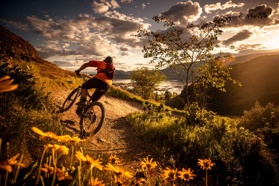 Xe đạp địa Hình Leo Núi