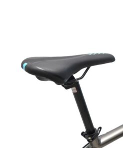 Xe đạp đua PAPYLUS PR700 giảm giá 250k + quà tặng 47 Yên Xe đạp Dua Palylus Pr700