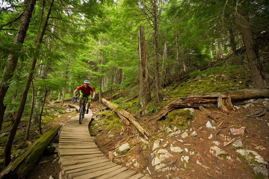 Xe đạp địa Hình đa Dụng