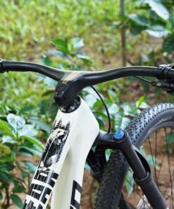 Tay Lái Xe đạp địa Hình 2 Phuộc Nesto Bear