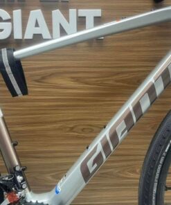 Khung Xe đạp đường Phố (touring) Giant Fastroad Ar Adv 1 Bản 2023