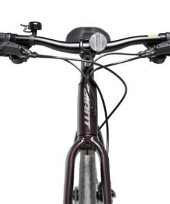 Tay Lái Xe đạp đường Phố Giant Escape 2 D Bản 2022