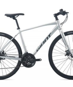 Xe đạp đường Phố Giant Escape 2 Bản 2022 Màu Bạc