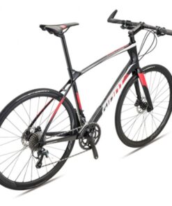 Xe đạp đường Phố (touring) Giant Fastroad Adv ảnh 1