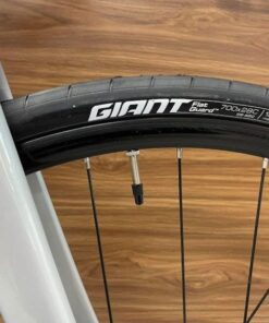 Bánh Xe đạp đường Phố (touring) Giant Rx 2d Bản 2023