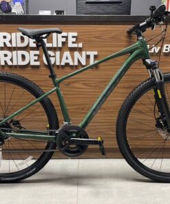 Xe đạp địa Hình Giant Roam 3 D Bản 2024 Màu Xanh Rêu