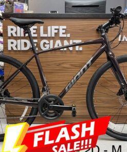 Xe đạp đường Phố Giant Escape 2 Dm Bản 2022 Màu Nâu