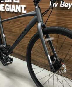 Xe đạp đường Phố (touring) Giant Escape 1 D Gc Bản 2024 ảnh 2