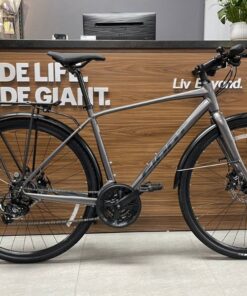 Xe đạp đường Phố (touring) Giant Escape 2 City Bản 2024 Màu Xám