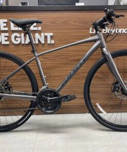 Xe đạp đường Phố (touring) Giant Escape 2 Bản 2024 Màu Xám