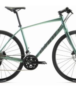 Xe đạp đường Phố (touring) Giant Rx 2d Bản 2023 Màu Xanh Ngọc