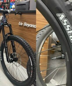 Xe đạp địa hình Giant Reign 1 29inch bản 2024 giảm giá 8M 18 Bánh Trước Và Lốp Xe đạp địa Hình Giant Reign Bản 2024 29inch