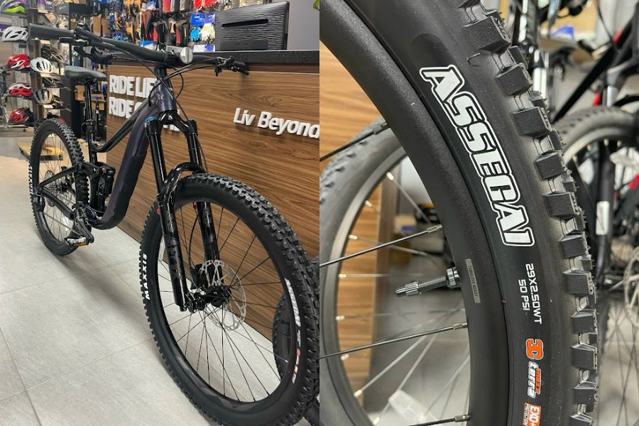 Xe đạp địa hình Giant Reign 1 29inch bản 2024 giảm giá 8M 23 Bánh Trước Và Lốp Xe đạp địa Hình Giant Reign Bản 2024 29inch