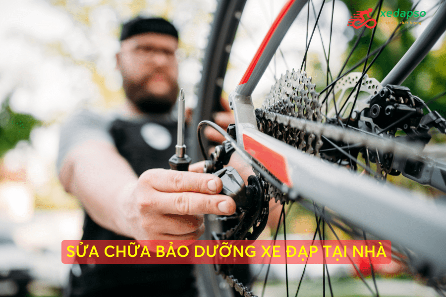 Dịch Vụ Sửa - Bảo Dưỡng Xe Đạp Tại Nhà | Uy Tín - Nhanh Chóng - Giá Hợp Lý 13 Căn Chỉnh Bộ đề Xe đạp