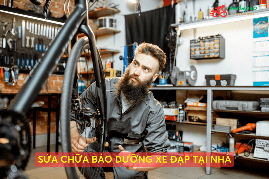 Dịch Vụ Sửa - Bảo Dưỡng Xe Đạp Tại Nhà | Uy Tín - Nhanh Chóng - Giá Hợp Lý 11 Căn Chỉnh Phuộc Và Bánh Trước Xe đạp