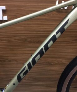 Khung Xe đạp địa Hình Giant Xtc 800 Plus Bản 2024