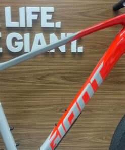 Khung Xe đạp địa Hình Giant Xtc Adv 2 Bản 2023