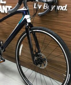 Khung Càng Xe đạp đua Giant Anyroad Adv 1.5 Bản 2022