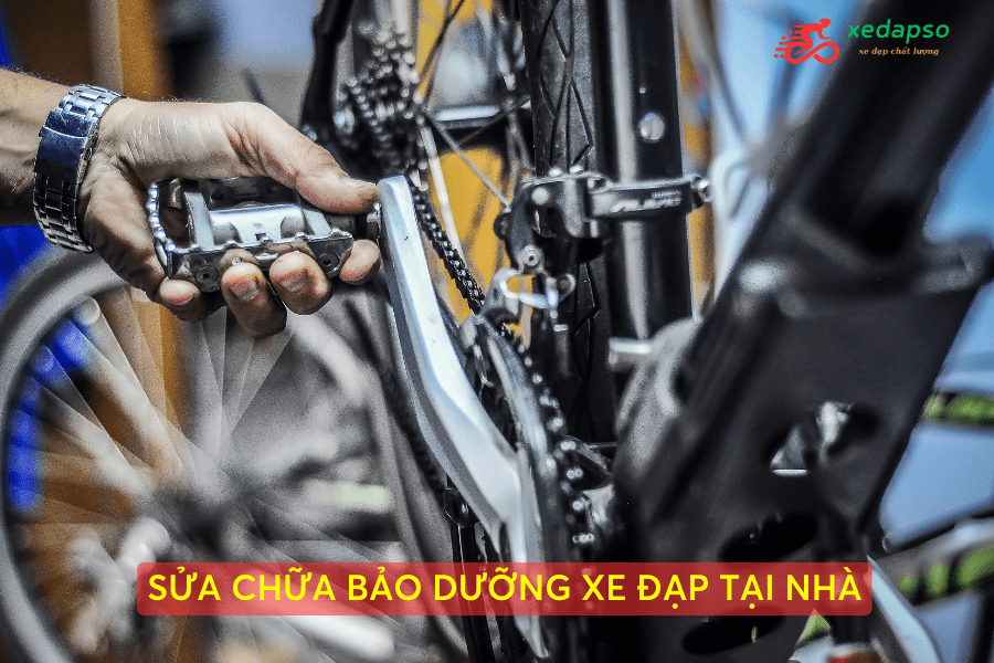 Dịch Vụ Sửa - Bảo Dưỡng Xe Đạp Tại Nhà | Uy Tín - Nhanh Chóng - Giá Hợp Lý 9 Kiểm Tra Củ đề Trước Và đùi đĩa Xe đạp