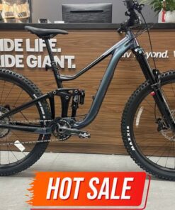 Xe đạp địa Hình Giant Reign Bản 2024 29inch