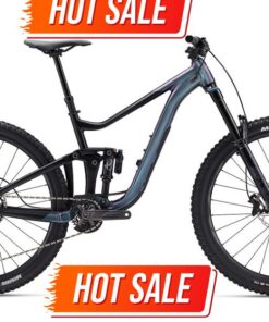 Xe đạp địa Hình Giant Reign Bản 2024 29inch Màu Ghi