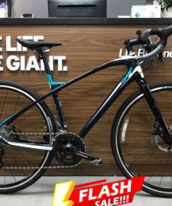 Xe đạp đua Giant Anyroad Adv 1.5 Bản 2022