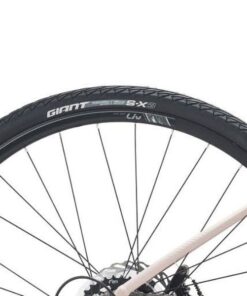 Bánh Sau Xe đạp đường Phố Nữ Liv Alight 2 Bản 2023