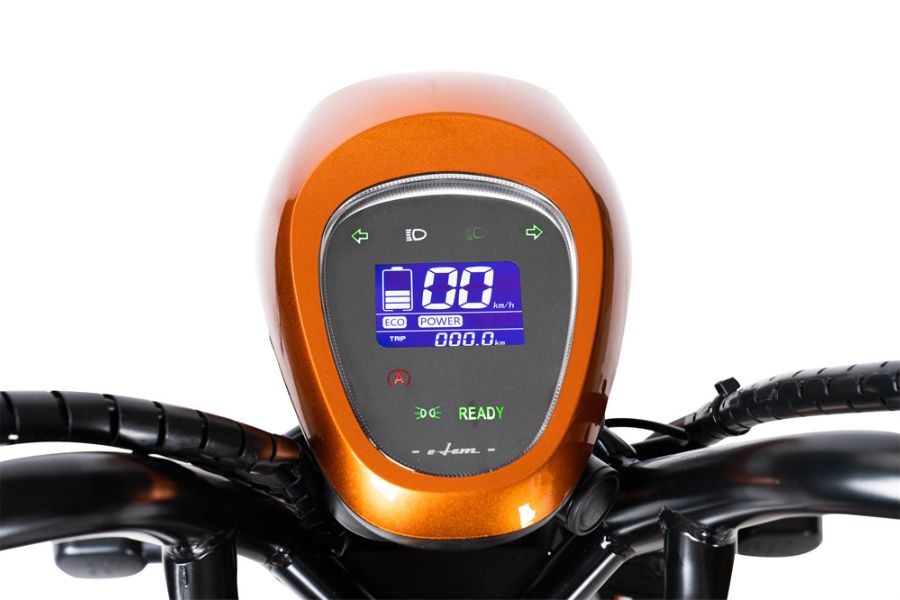 Xe đạp điện Giant Elem 133S (5 bình) bản 2022 43 Bộ Hiển Thị Màu Xe điện Giant Elem 133s (5 Bình) Bản 2022