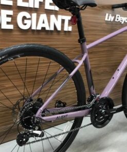 Bộ Truyền động Xe đap đường Phố Liv Alight 2 Dd D