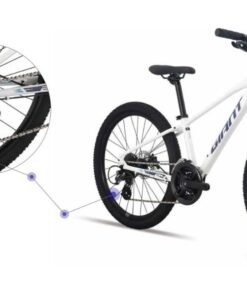 Bộ Truyền động Xe Trẻ Em Giant Xtc 24-d 1 Bản 2025