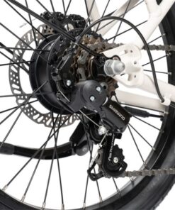 Củ đề Sau Xe điện Trợ Lực Momentum Espresso E