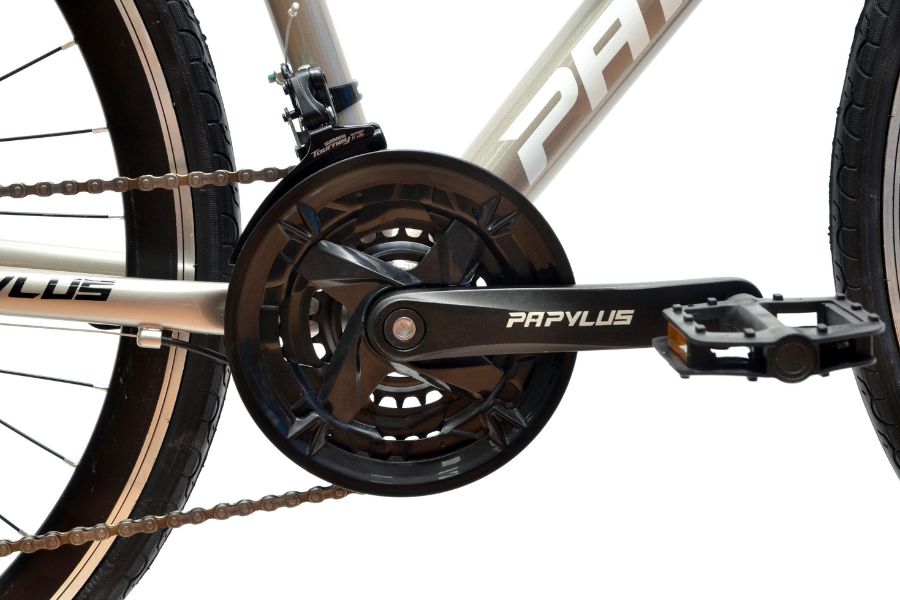 Xe đạp touring Papylus PT700S giảm giá 200K + KM 66 Đùi đĩa Và Củ đề Trươc Shimano Tz500 Xe đạp Touring Papylus Pt700s