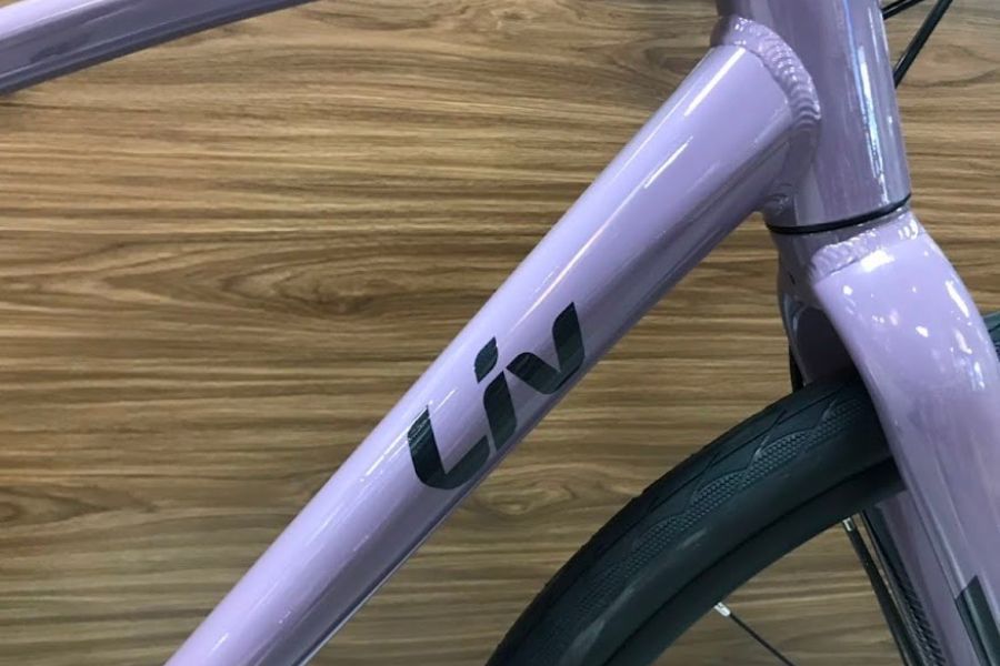 Xe đạp Touring Liv Alight 2 DD D bản 2022 27 Khung Xe đap đường Phố Liv Alight 2 Dd D