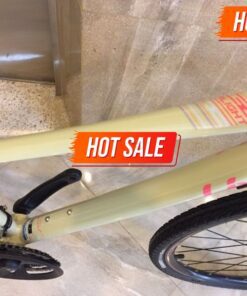 Xe đạp Touring Liv Alight 1 bản 2020 31 Khung Xe đạp đường Phố Liv Alight 1 Bản 2020