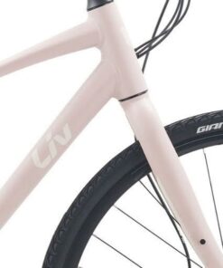 Khung Phuộc Xe đạp đường Phố Nữ Liv Alight 2 Bản 2023