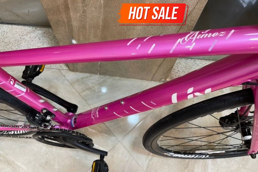 Xe đạp Touring Liv Aimez SL 2 bản 2021 36 Khung Xe đạp đường Phố Nữ Liv Aimez Sl 2 Bản 2021