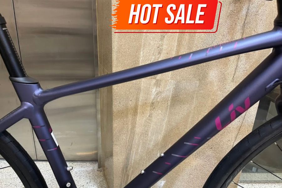 Xe đạp Touring Liv Aimez SL 2 bản 2022 38 Khung Xe đạp đường Phố Nữ Liv Aimez Sl2 Bản 2022