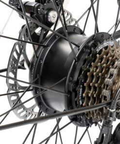 Líp Xe điện Trợ Lực Momentum Espresso E