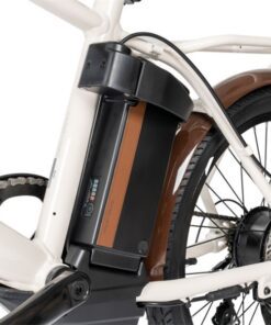 Pin Siêu Nhẹ Xe điện Trợ Lực Momentum Espresso E