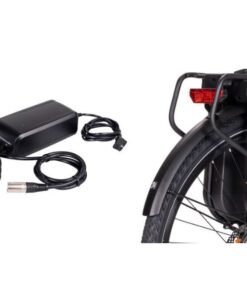 Sạc Và Pin Kép Xe điện Trợ Lực Giant Tour E+200 Bản 2022