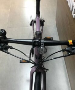 Tay Lái Xe đap đường Phố Liv Alight 2 Dd D