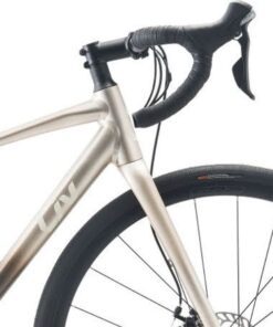 Tay Lái Và Phuộc Xe đạp đua Nữ Liv Avail Ar 3 Bản 2024