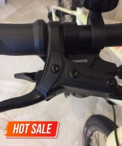 Xe đạp Touring Liv Alight 1 bản 2020 28 Tay Phanh Và Tay đề Xe đạp đường Phố Liv Alight 1 Bản 2020