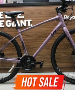 Xe đap đường Phố Liv Alight 2 Dd D Màu Tím