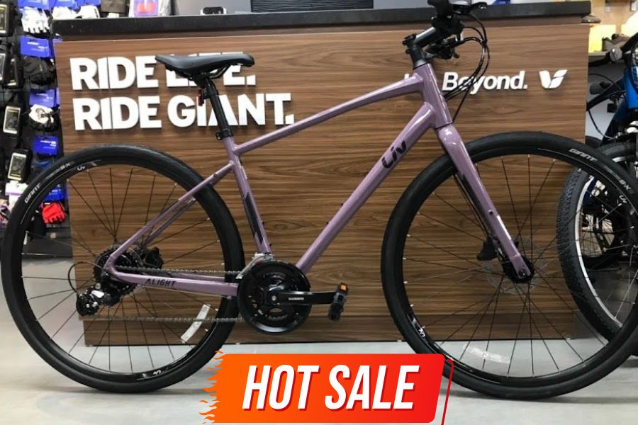 Xe đạp Touring Liv Alight 2 DD D bản 2022 23 Xe đap đường Phố Liv Alight 2 Dd D Màu Tím