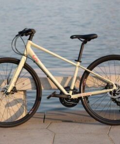 Xe đạp đường Phố Liv Alight 1 Bản 2020 Màu Trắng đục ảnh Thật