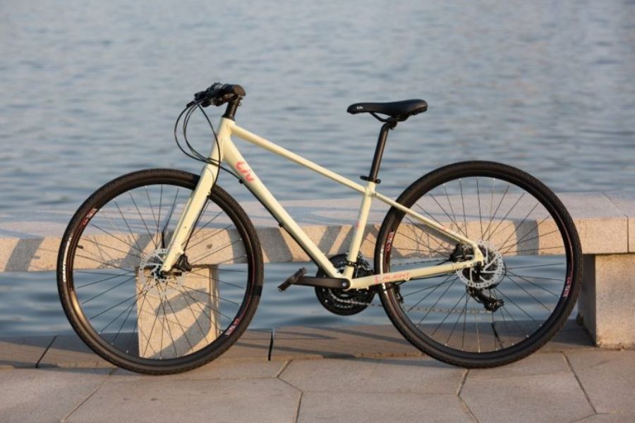 Xe đạp Touring Liv Alight 1 bản 2020 35 Xe đạp đường Phố Liv Alight 1 Bản 2020 Màu Trắng đục ảnh Thật