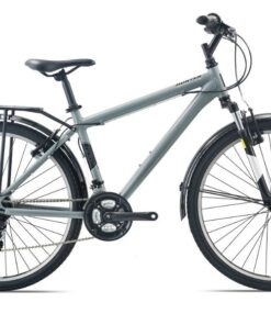 Xe đạp đường Phố Momentum Ineed Hunter 2.0 Bản 2024 Màu Xám