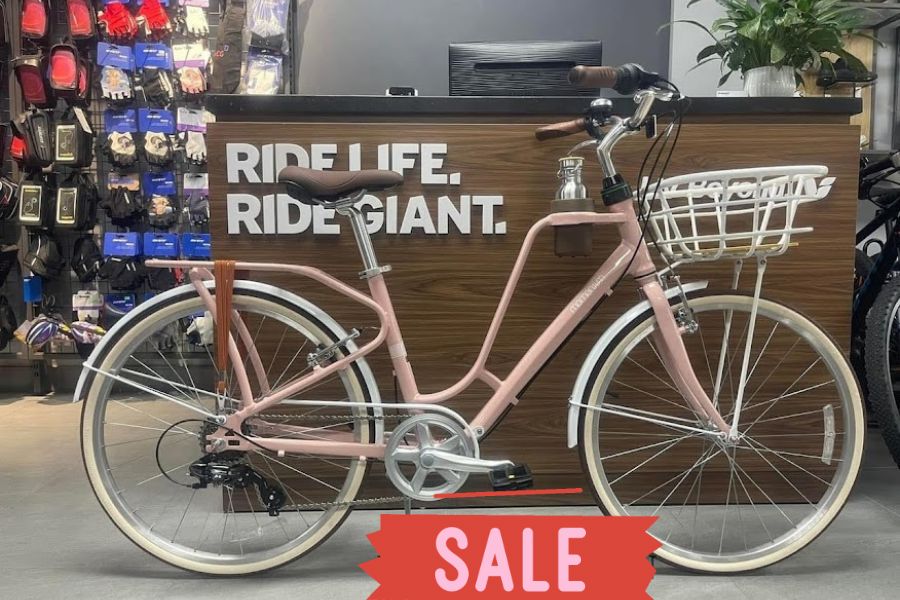 Xe đạp đường phố Momentum iNeed Latte 24 bản 2024 46 Xe đạp đường Phố Momentum Ineed Latte 24 Bản 2024 Màu Hồng ảnh Thật